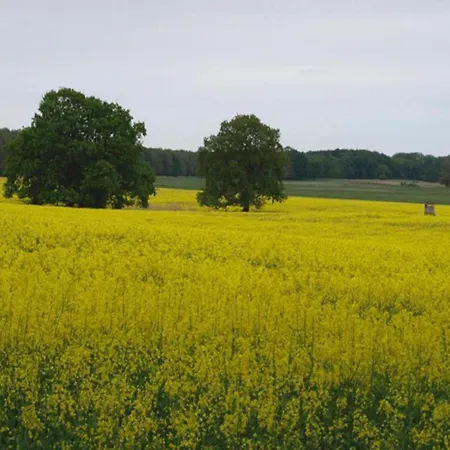 Im Skandinavischen Stil * Rechlin