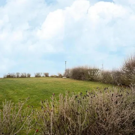 Im Skandinavischen Stil *