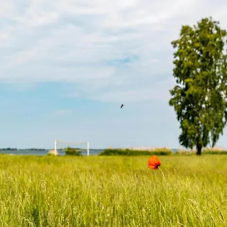 Im Skandinavischen Stil